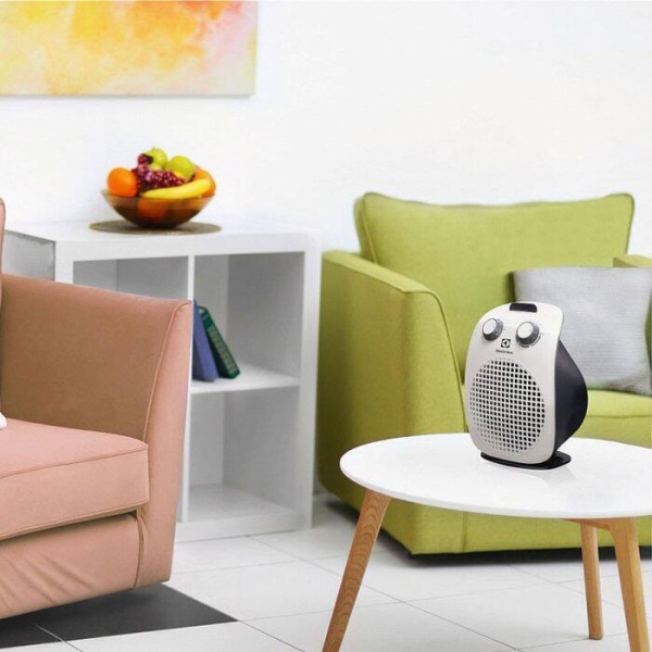 https://mircli.ru/themes/mircli/images/Electrolux_EFHS_1125(2).jpg